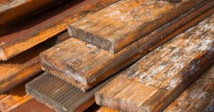 wood planks with black mold